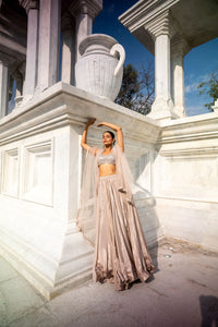 TCR Gold Metallic Lehenga with Heavily Embellished Bustier!