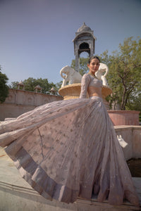 TCR Champagne Sequin Embroidered Lehenga!