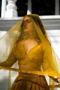 Mustard Yellow Full-Sleeve Flared Lehenga Set!