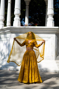 Mustard Yellow Full-Sleeve Flared Lehenga Set!