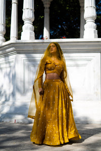 Mustard Yellow Full-Sleeve Flared Lehenga Set!