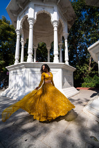 Mustard Yellow Full-Sleeve Flared Lehenga Set!