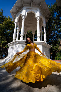 Mustard Yellow Full-Sleeve Flared Lehenga Set!