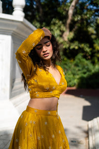 Mustard Yellow Full-Sleeve Flared Lehenga Set!