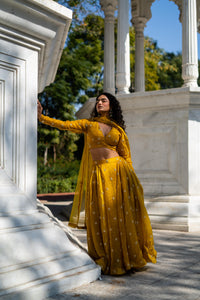 Mustard Yellow Full-Sleeve Flared Lehenga Set!