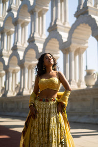 Golden Yellow Embroidered Lehenga with Strappy Blouse!