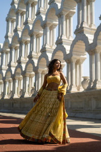 Golden Yellow Embroidered Lehenga with Strappy Blouse!