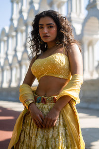 Golden Yellow Embroidered Lehenga with Strappy Blouse!