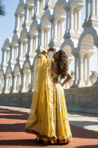 Golden Yellow Embroidered Lehenga with Strappy Blouse!
