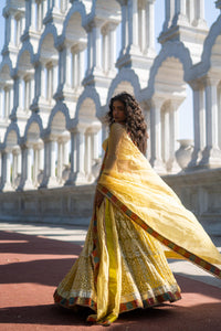 Golden Yellow Embroidered Lehenga with Strappy Blouse!