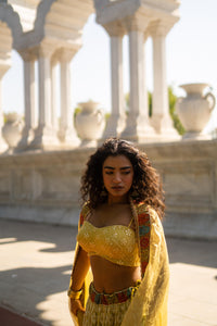 Golden Yellow Embroidered Lehenga with Strappy Blouse!