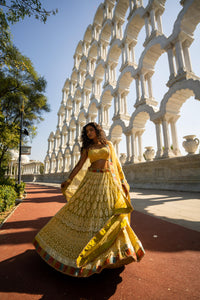 Golden Yellow Embroidered Lehenga with Strappy Blouse!