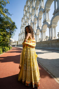 Golden Yellow Embroidered Lehenga with Strappy Blouse!