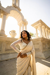 Ivory Gold Embellished Saree with Sheer Sleeve Designer Blouse!