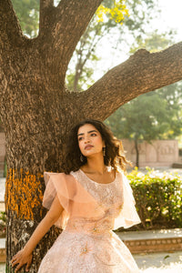 Blush Peach Layered Evening Gown with Ruffle Sleeves!