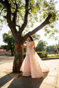 Blush Peach Layered Evening Gown with Ruffle Sleeves!