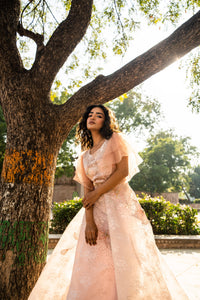 Blush Peach Layered Evening Gown with Ruffle Sleeves!