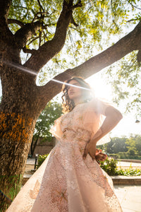 Blush Peach Layered Evening Gown with Ruffle Sleeves!