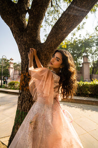Blush Peach Layered Evening Gown with Ruffle Sleeves!