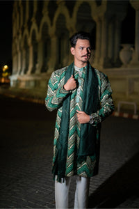 TCR Royal Emerald green chevron kurta set!