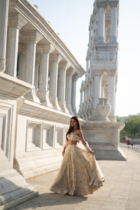 TCR Beige Floral Sequin Embroidered Lehenga Set!
