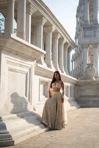 TCR Beige Floral Sequin Embroidered Lehenga Set!