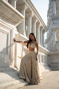 TCR Beige Floral Sequin Embroidered Lehenga Set!