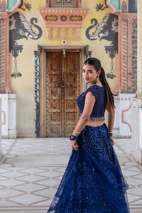 Navy Blue Sequin Embroidered Lehenga with Cap-Sleeve Blouse!