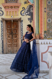 Navy Blue Sequin Embroidered Lehenga with Cap-Sleeve Blouse!