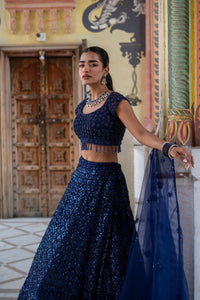 Navy Blue Sequin Embroidered Lehenga with Cap-Sleeve Blouse!