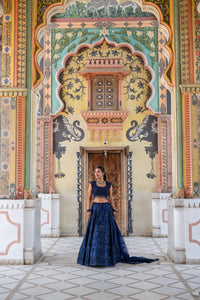Navy Blue Sequin Embroidered Lehenga with Cap-Sleeve Blouse!