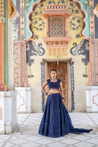 Navy Blue Sequin Embroidered Lehenga with Cap-Sleeve Blouse!