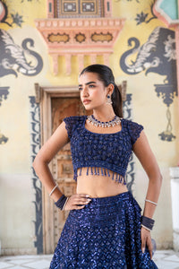 Navy Blue Sequin Embroidered Lehenga with Cap-Sleeve Blouse!
