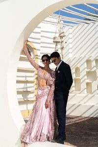 TCR Blush Pink Embellished Saree Gown!