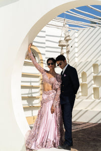 TCR Blush Pink Embellished Saree Gown!